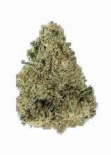 Dulce De Fresca Young Goat