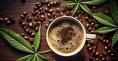 Roast Ground Coffee Midsouth Extracts