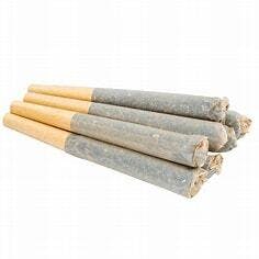 Jackie Channabis 7pk .5g Prerolls - Dragon Fire Farm - 21.2% - Sativa
