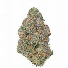 Rainbow Zangria 14g - Max Harvest - 19% - Hybrid