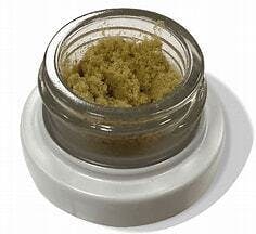 Governmint Oasis Ultra Keif