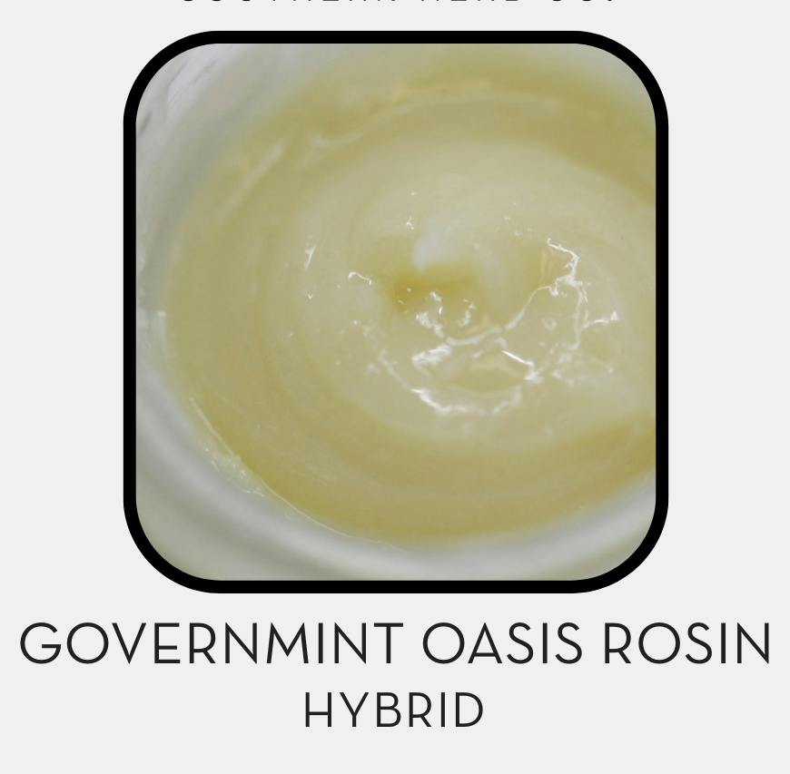 Govermint Oasis