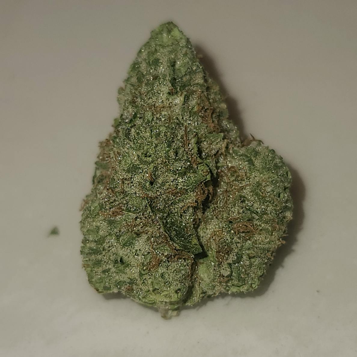 Shake Shack 3.5g - Apotha - 23.7% - Indica