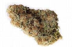 Lemozine 3.5g - Black Water Reserve - 24.1% - Sativa Hybrid