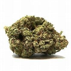 GG4 3.5g - Third Day Crop - 26.1% - Indica