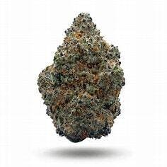 Dante's Inferno Black Velvet 7g - Green Spark Cultivation - 23.1% - Indica