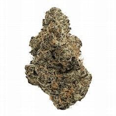 Octane Mintz 7g - Green Spark Cultivation - 25.1% - Hybrid