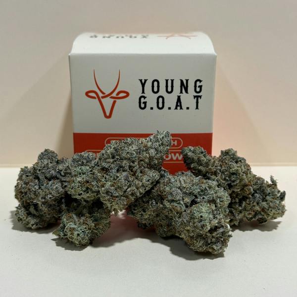 Octane Mints 3.5g - Young Goat - 26.1% - Hybrid