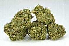 Sour Zplash Pure Ms