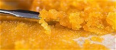Dirty Bird | Solvent | 3g