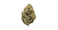 Fatso OG 7g - 74 Suns - 27.5% - Indica Hybrid