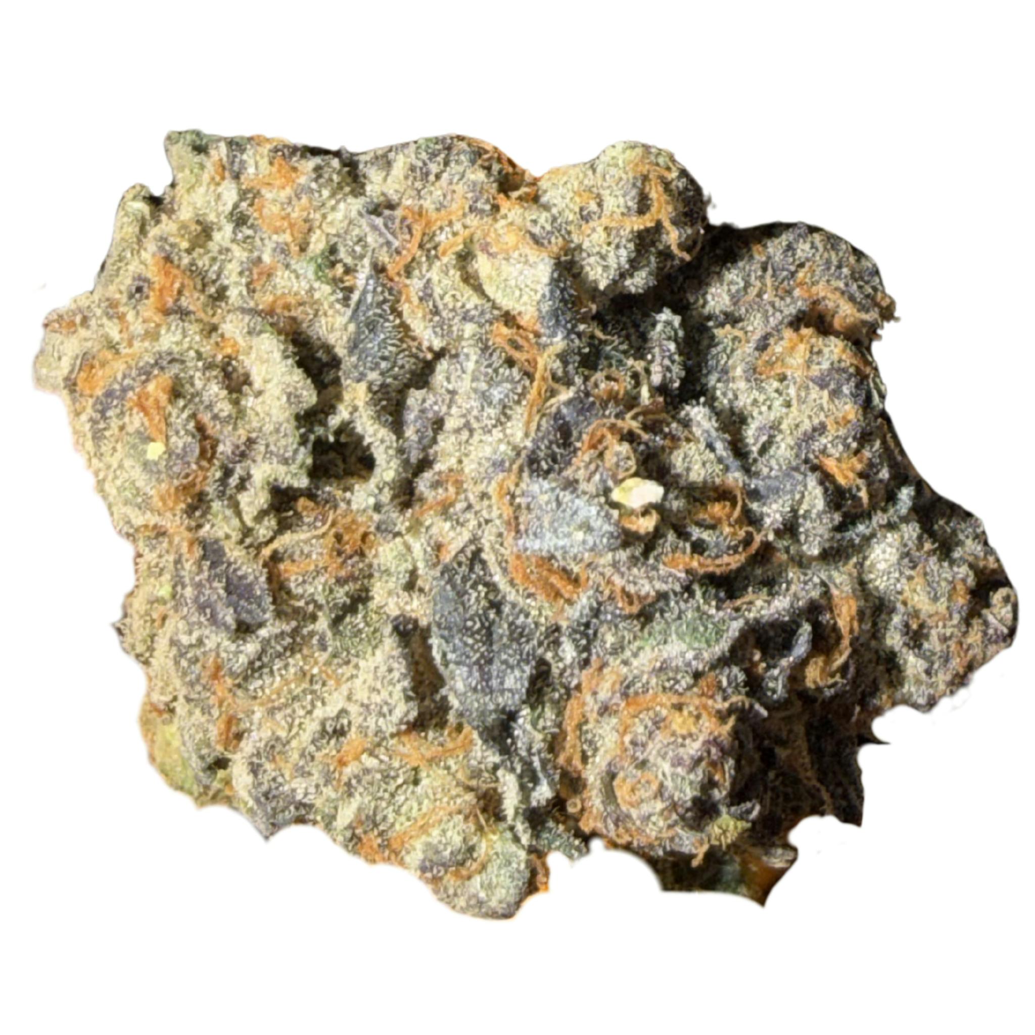 Forum Cut Girl Scout Cookies 3.5g - Hippocratic Growth - 17.2% - Hybrid/Indica