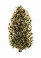 Honey Bear 3.5g - High Society - 24% - Sativa