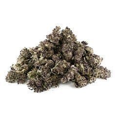 Black Truffle 28g - GRUV - 23.9% - Indica