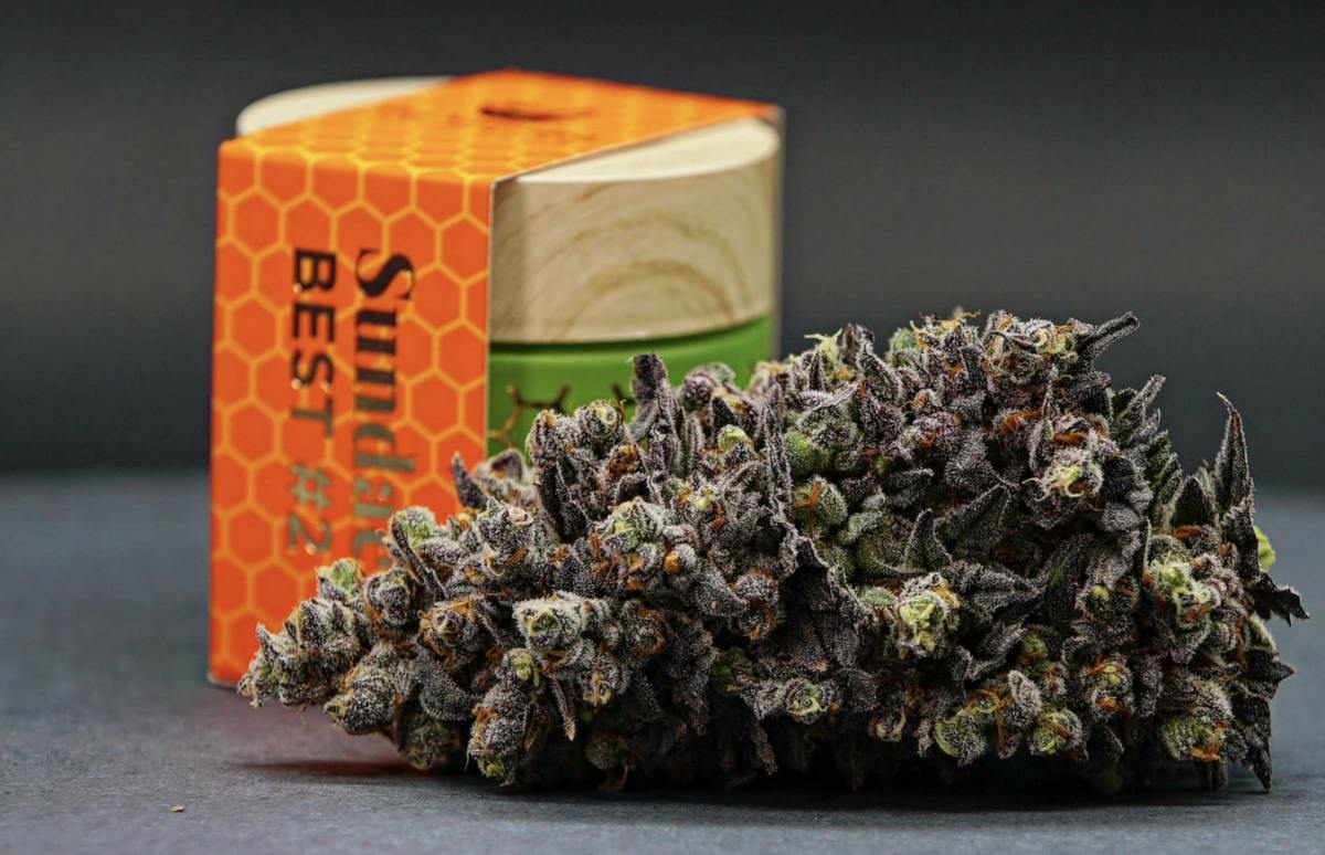 Sundae Best #2 | 7g