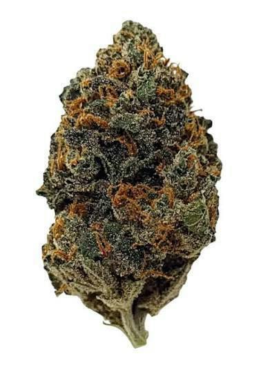 Grandi Guava 14g - Max Harvest - 23.7% - Hybrid