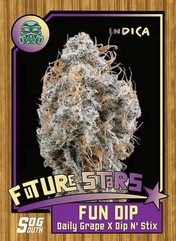 Fun Dip 3.5g - SOG - 25% - Indica