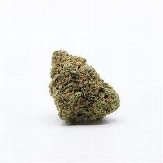 Zuava 3.5g - Young Goat - 29.3% - Indica