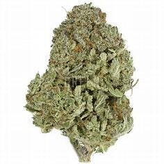 Tropical Thunder Funk 7g - Green Spark Cultivation - 24.3% - Hybrid