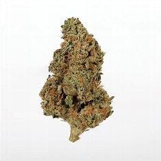 Peach Cresendo 3.5g - Young Goat - 25% - Indica