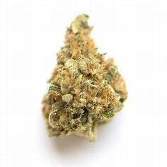 Lollipop 7g - The Sipp - 24.4% - Indica Hybrid