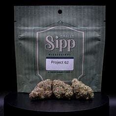 Project 62 14g - The Sipp - 25.4% - Hybrid