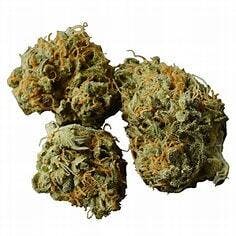 Gorilla Glue 14g - GRUV - 26% - Indica