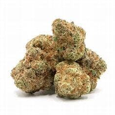 Jokerz Candy 7g - Young Goat - 25% - Indica