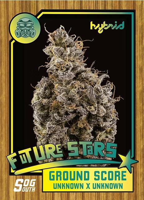 Ground Score 3.5g - SOG - 25.6% - Hybrid