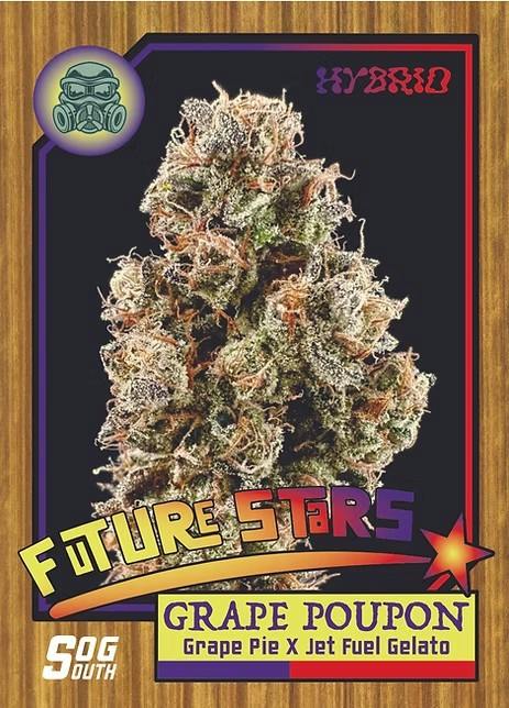 Grape Poupon 3.5g - SOG - 28% - Hybrid