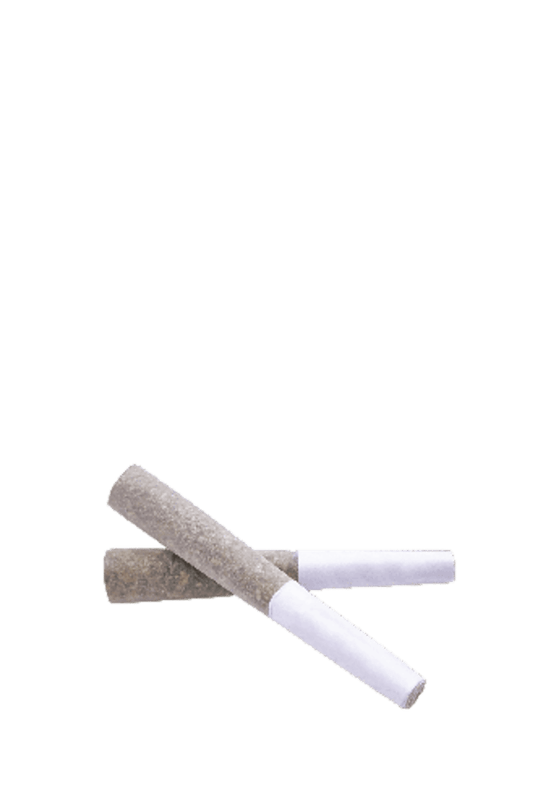 Skywalker Prerolls (2x .5g) - Suite 1620 - 26% - Indica