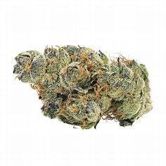 GMO 3.5g - 74 SUNS - 26.8% - Indica