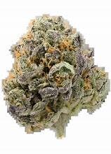 Pink Z 3.5g - Kind Life - 23.5% - Hybrid