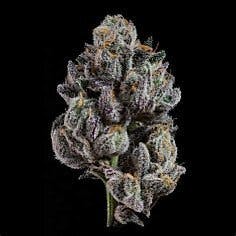 Nerdz 7g - GRUV - 29.5% - Hybrid