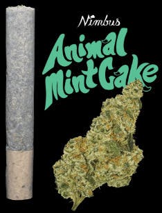 Animal Mint Cake Pre Roll (1g)