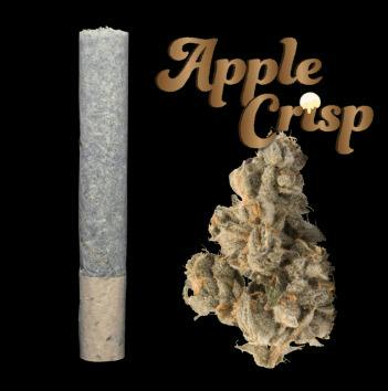 Apple Crisp Pre Roll (1g)