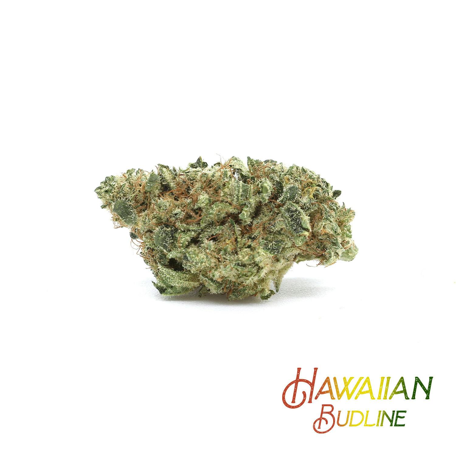 Hawaiian Jealousy at Noa Botanicals Kaneohe Dispensary