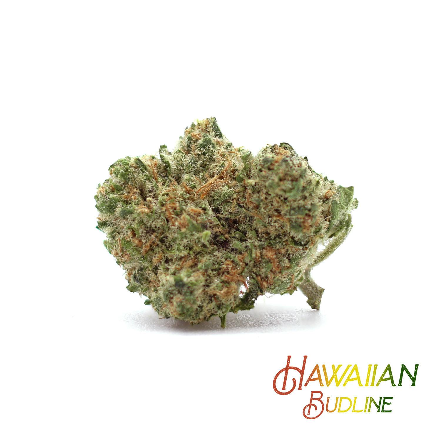 710 Papaya at Noa Botanicals Aiea Dispensary