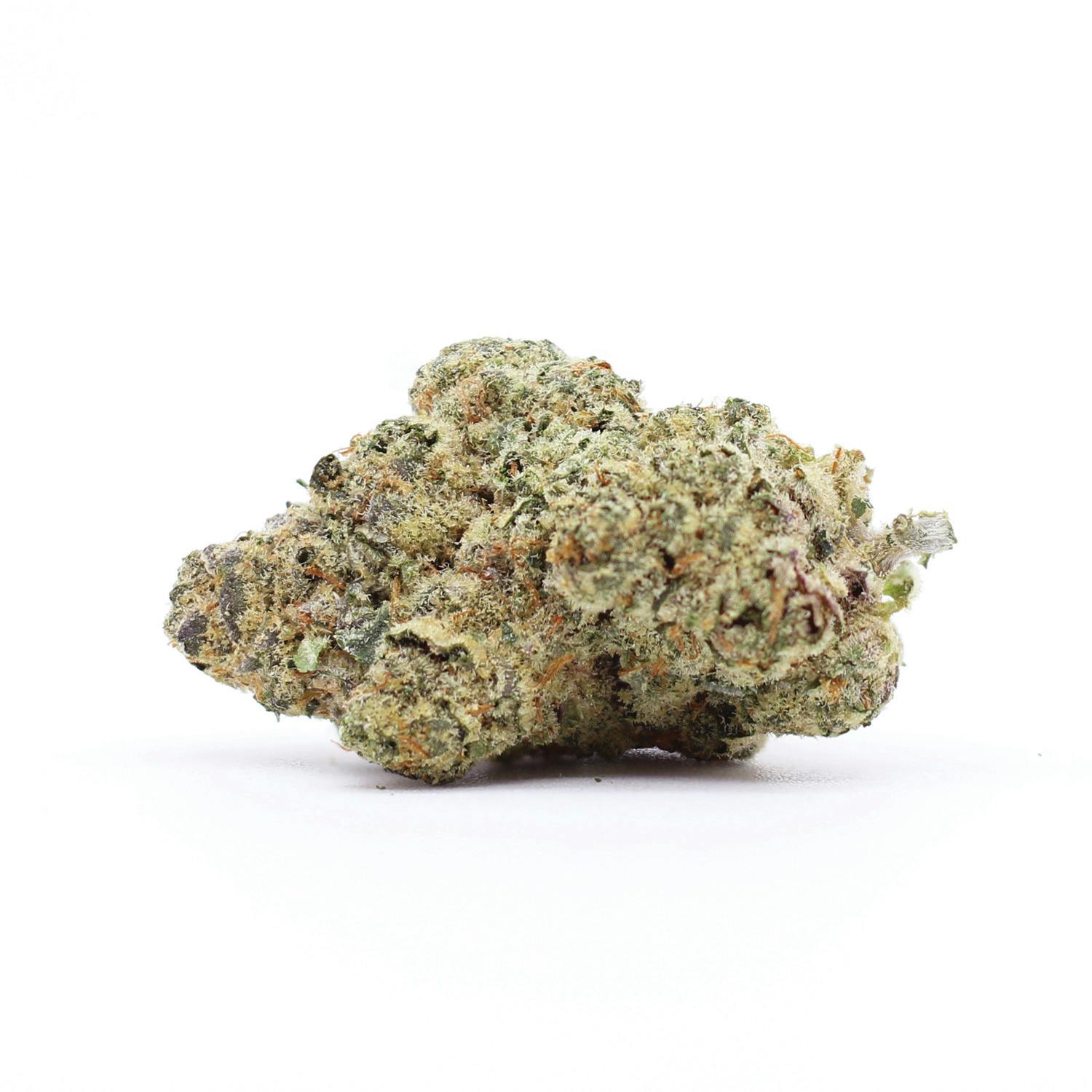 Motor Breath at Noa Botanicals Honolulu Dispensary