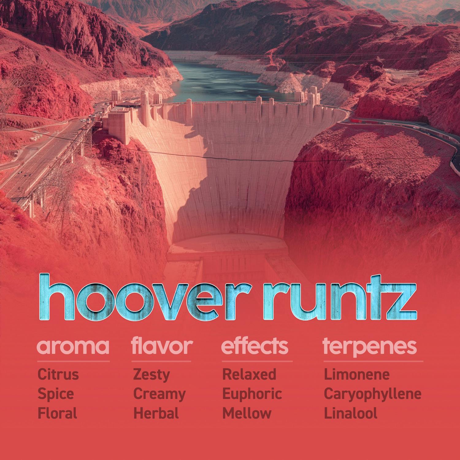 Hoover Runtz Flower