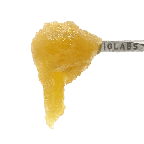 Do Lato #10 Persy