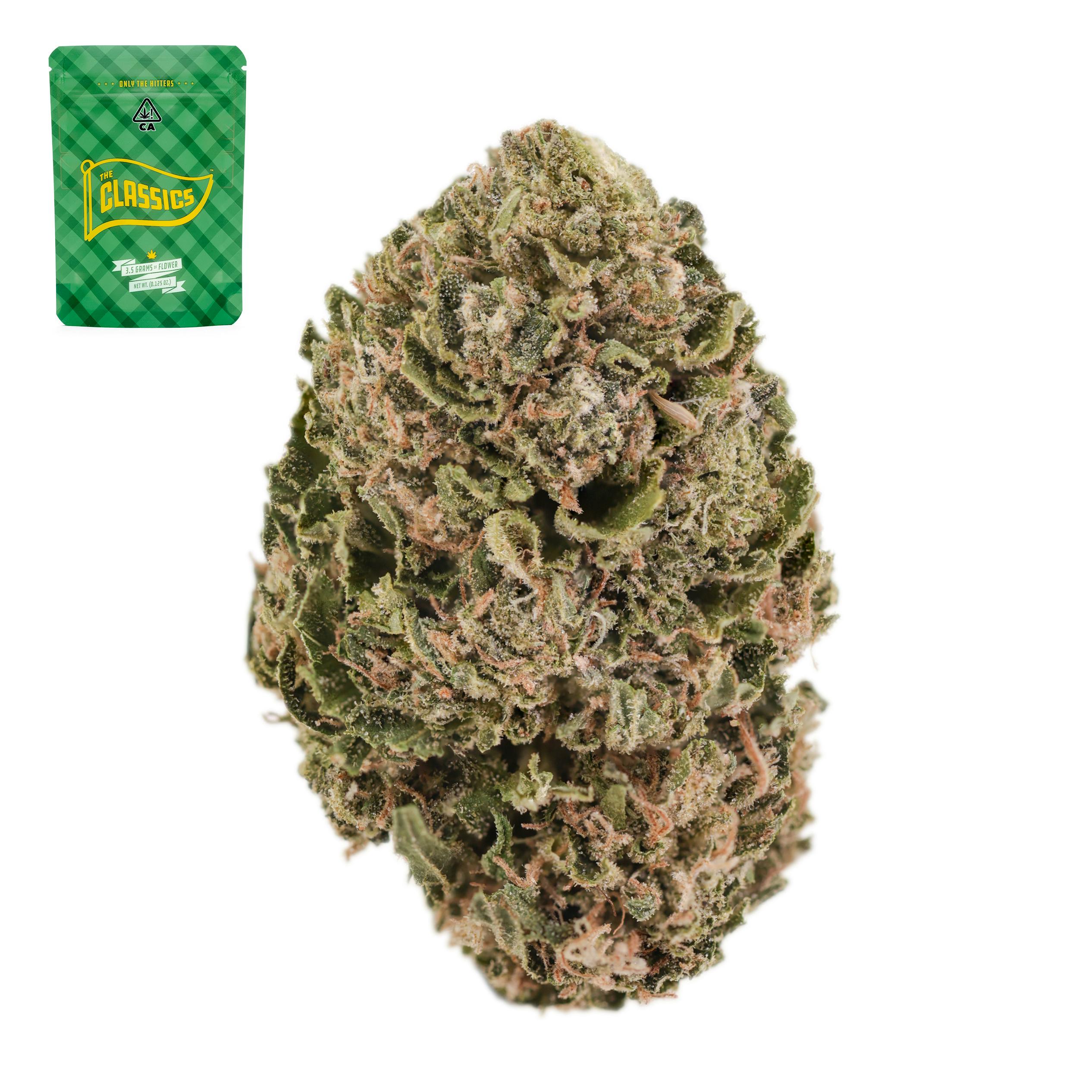 Uk Cheese x White Widow
