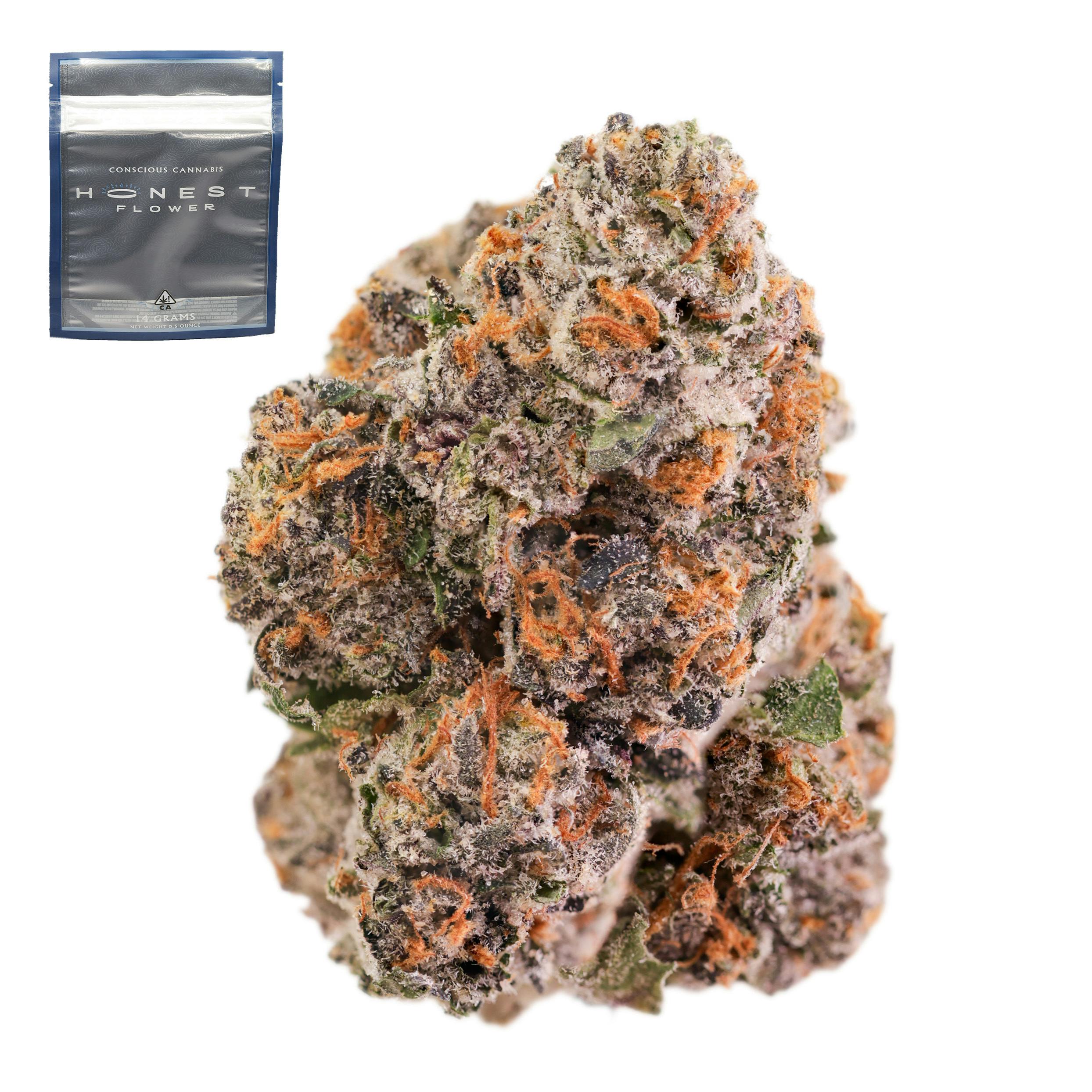 Gelato 41 - 14 g