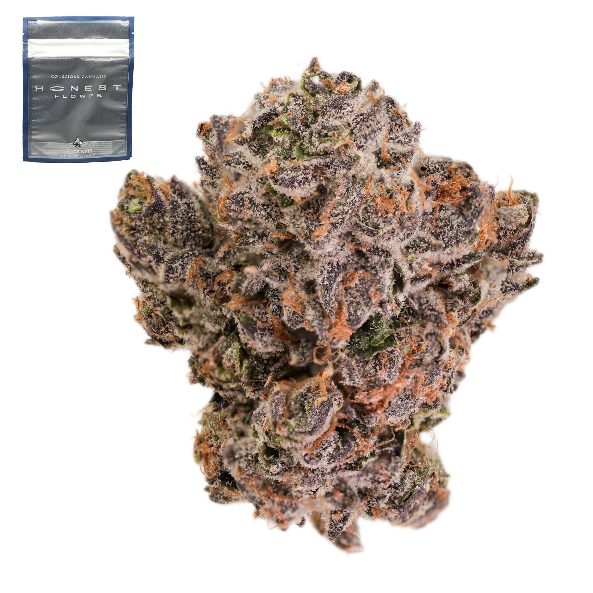 Gas Pedalz x Zkittlez