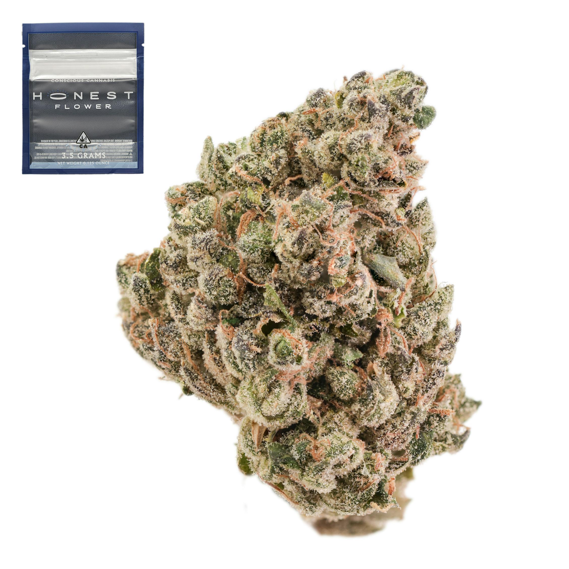 Indiana Headband - 3.5 g
