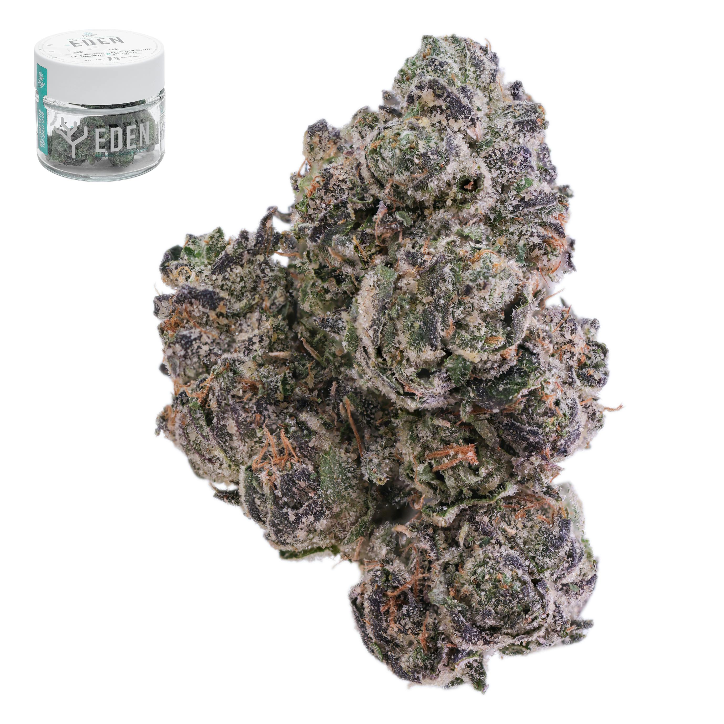 Toad Venom - 3.5 g