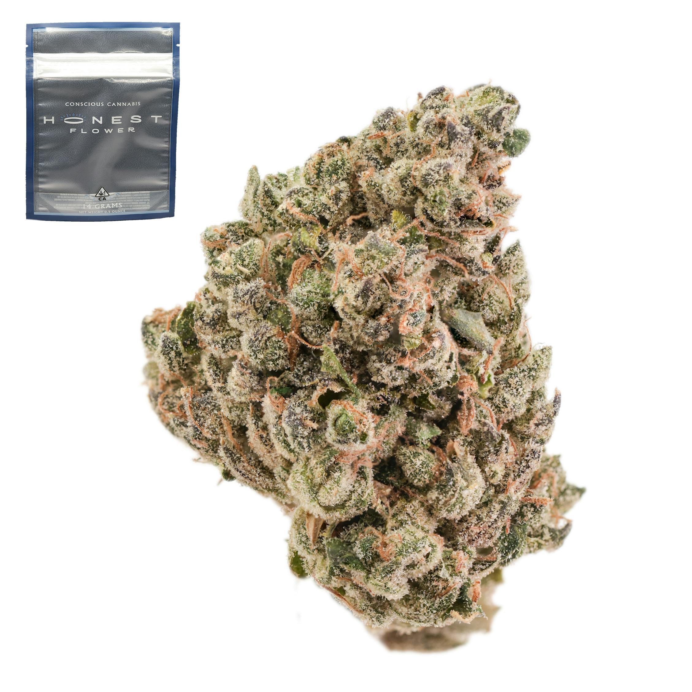 Indiana Headband - 14 g