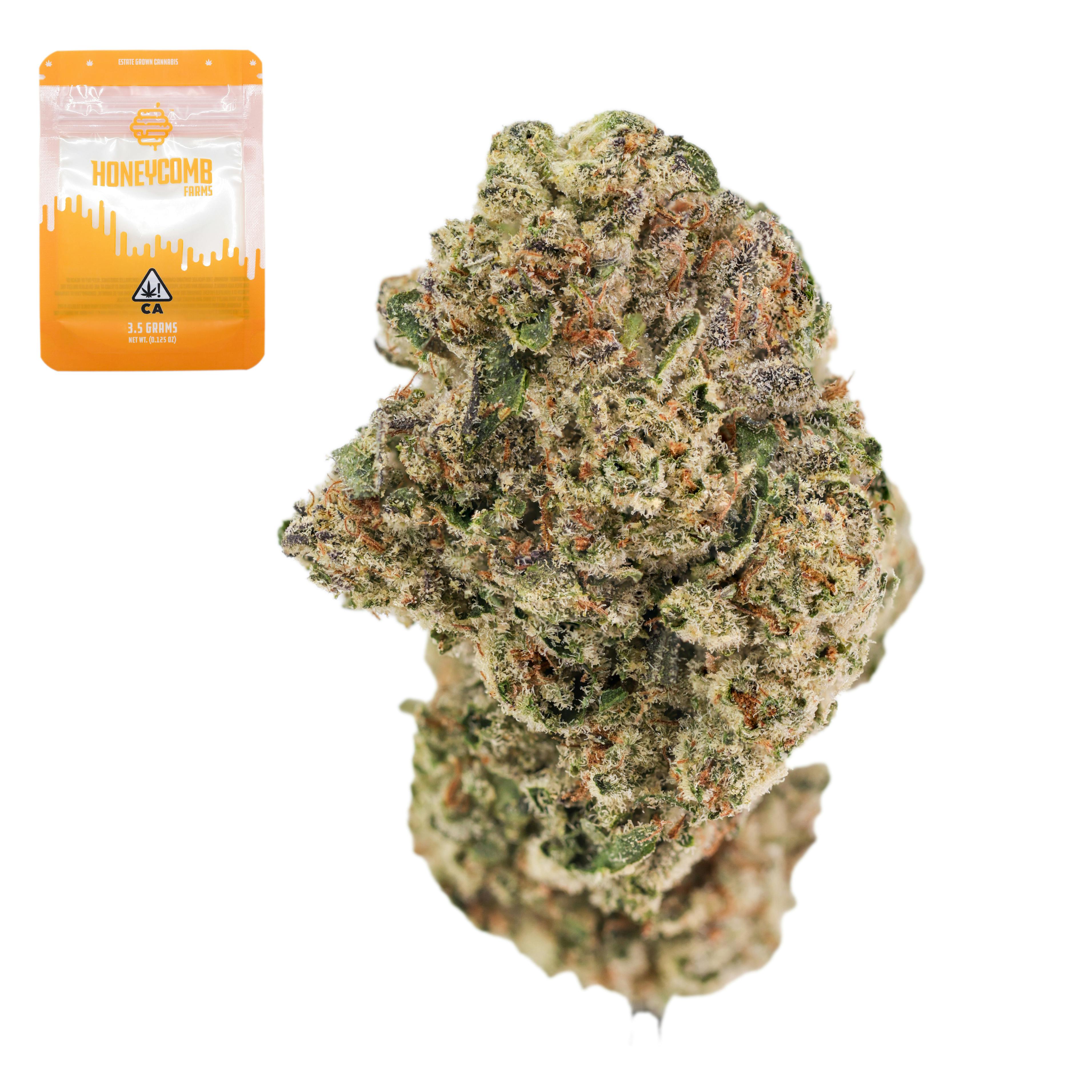 Grease Monkey x Biscotti - 14 g