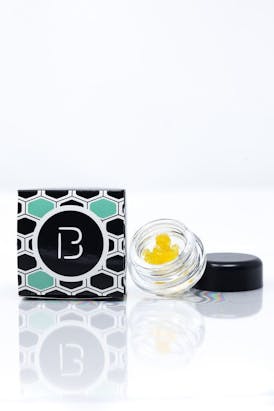 BOLD | Stargazer | Sugar