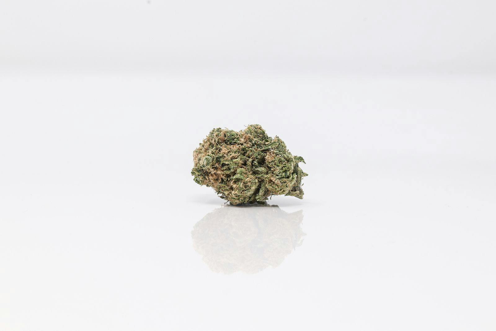 Durban Poison | Flower